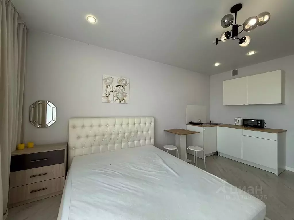 Студия Новосибирская область, Новосибирск ул. Кирова, 242 (30.0 м) - Фото 1