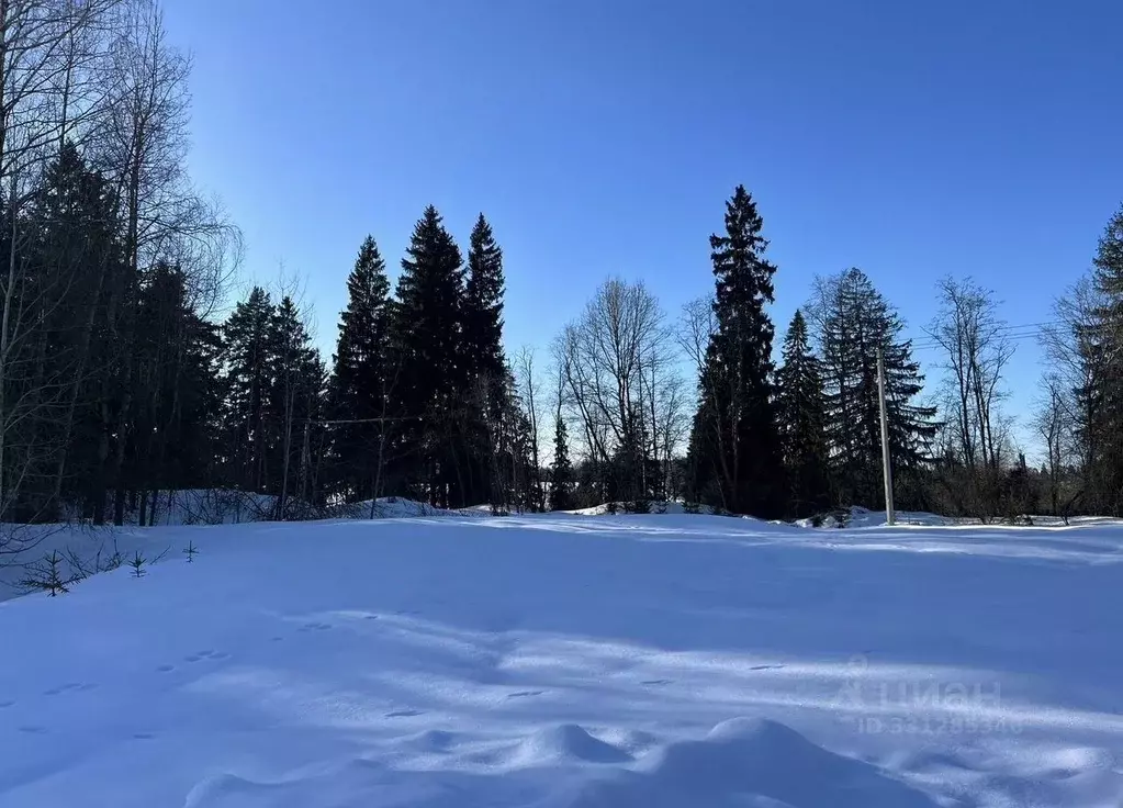 Дом в Московская область, Истра муниципальный округ, д. Глебово ул. ... - Фото 2