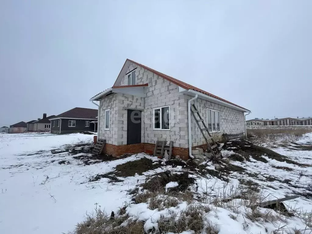 Дом в Белгородская область, Белгородский район, с. Стрелецкое ул. ... - Фото 1