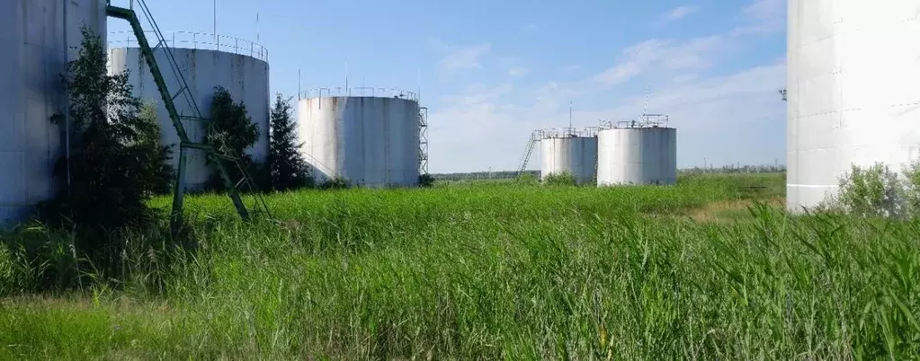 Производственное помещение в Новосибирская область, Татарск ул. ... - Фото 1