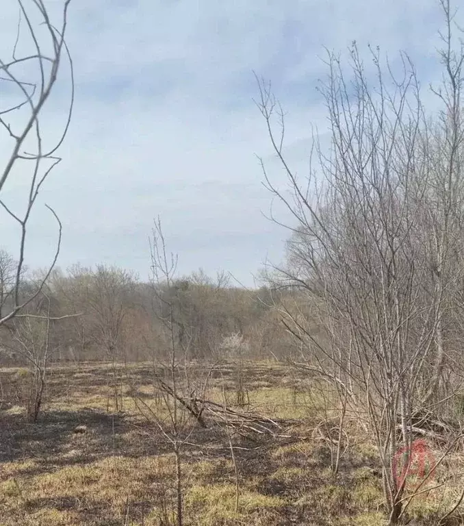 Участок в Краснодарский край, Крымский район, Пригородное с/пос, ... - Фото 2