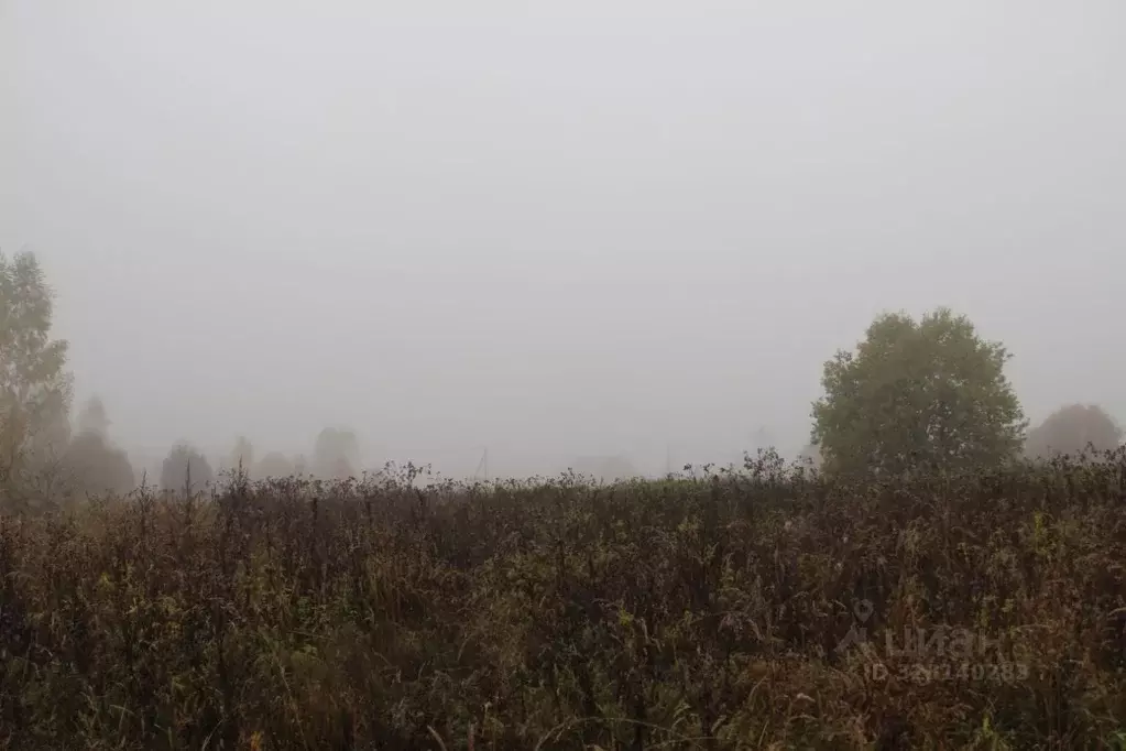 Участок в Московская область, Шаховская муниципальный округ, д. ... - Фото 1