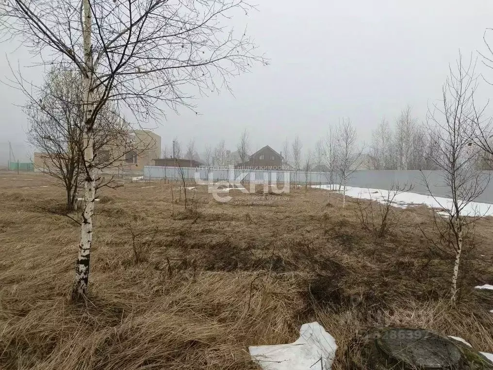 Участок в Нижегородская область, Богородск ул. Богородская, 45 (10.0 ... - Фото 2