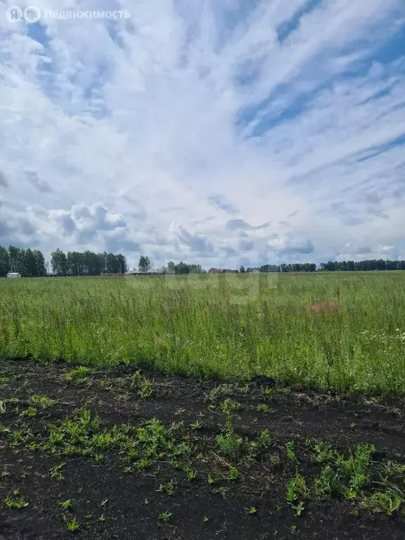 Участок в Лямбирский район, село Берсеневка (9.66 м) - Фото 0