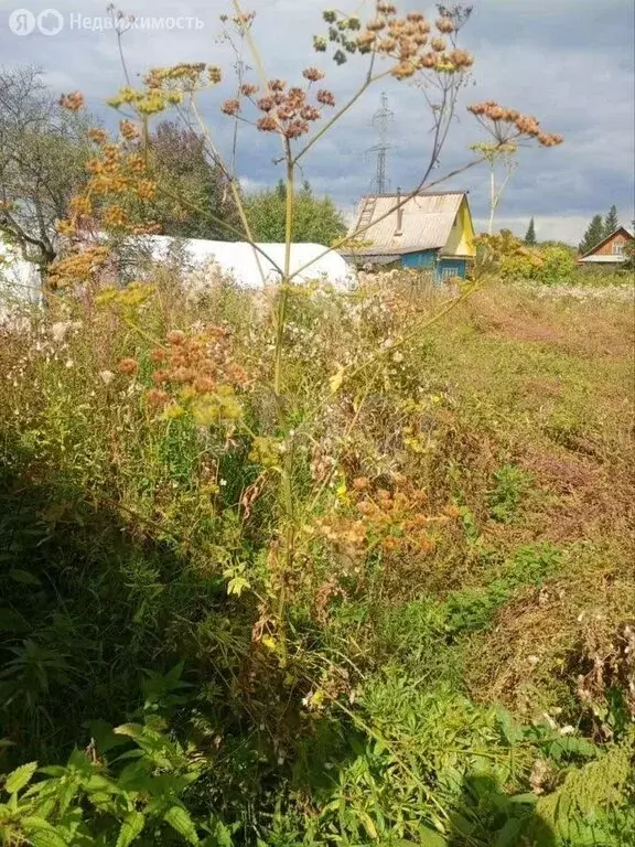 Участок в Миасс, СНТ Строитель-2 (7.75 м) - Фото 2