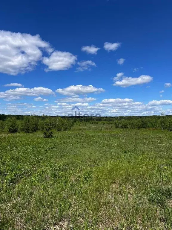 Участок в Татарстан, Зеленодольский район, Айшинское с/пос, с. ... - Фото 1