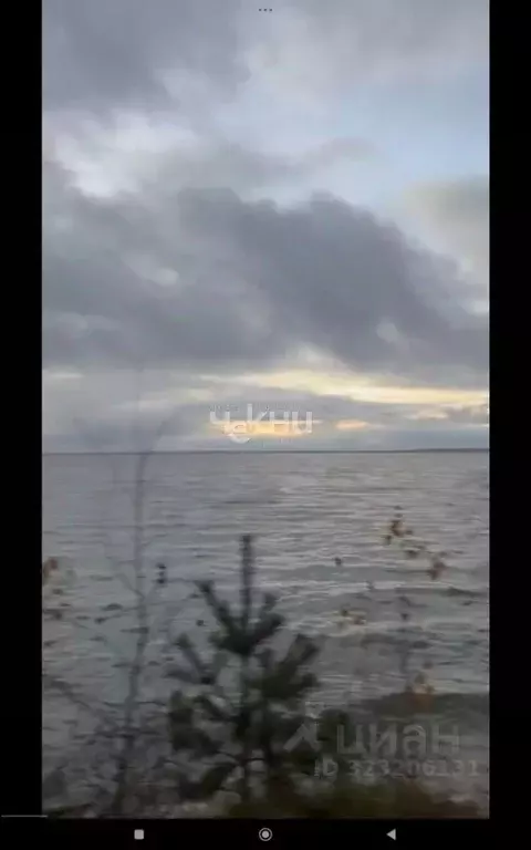 Участок в Нижегородская область, Сокольский муниципальный округ, д. ... - Фото 1