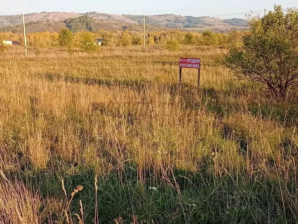 Участок в Алтай, Майминский район, с. Подгорное Центральная ул. (15.0 ... - Фото 2