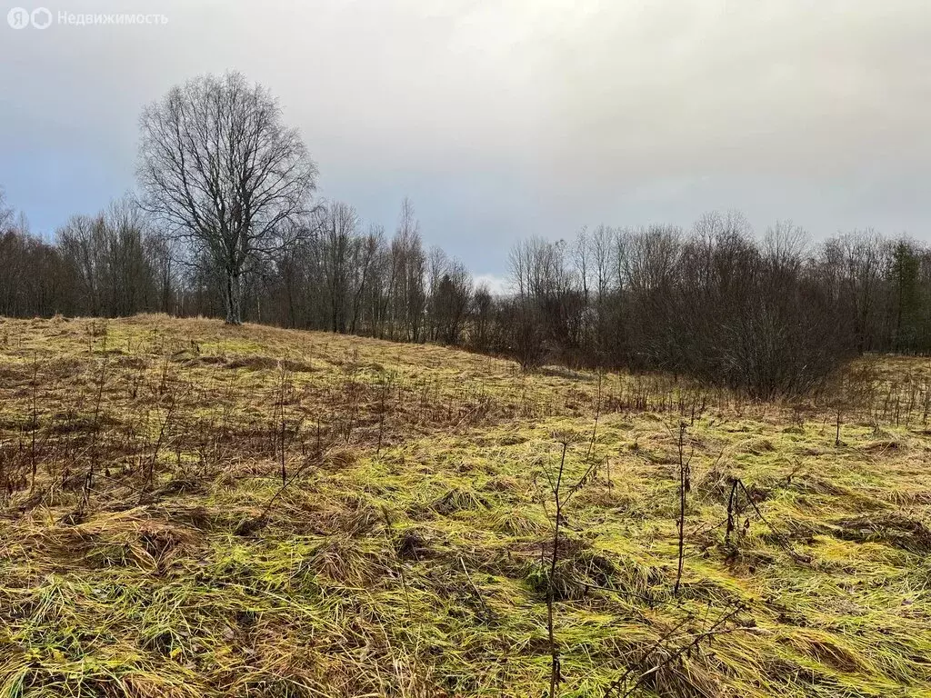 Участок в Ивантеевское сельское поселение, деревня Новинка (37 м) - Фото 2