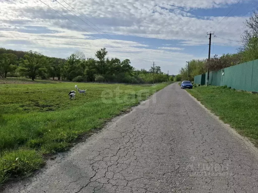 Участок в Белгородская область, Белгородский район, Ериковское с/пос, ... - Фото 0