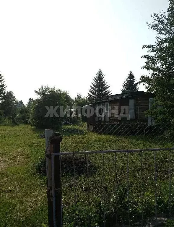 Дом в Новосибирская область, Коченёвский муниципальный район, ДНТ ... - Фото 0