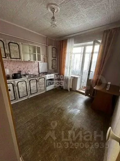 1-к кв. Липецкая область, Липецк ул. Ушинского, 23 (35.4 м) - Фото 1