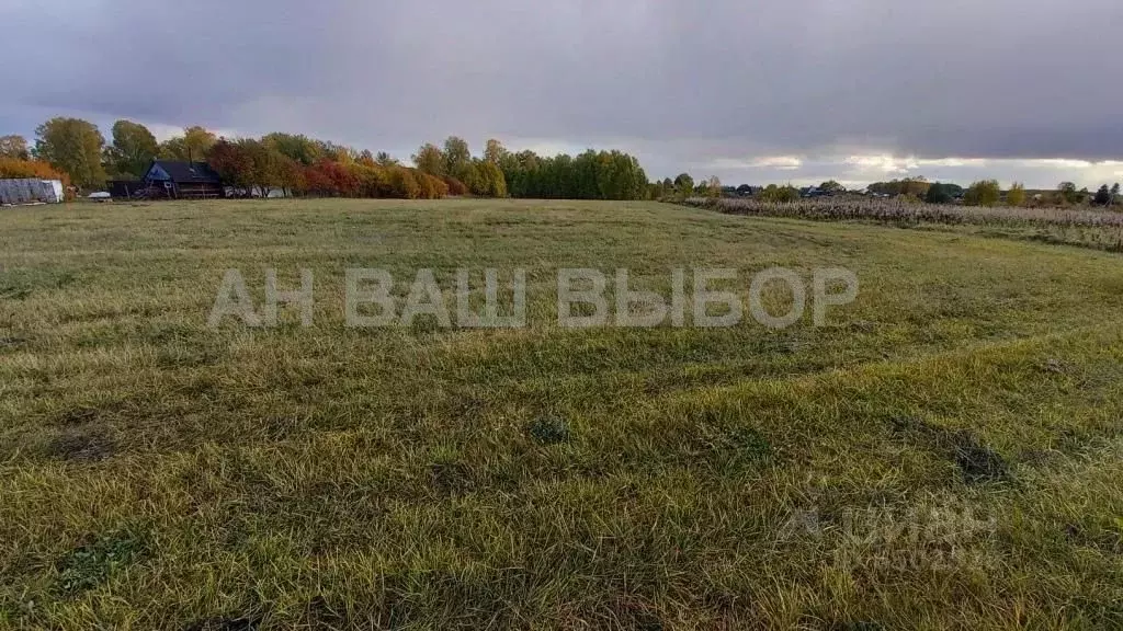 Участок в Тюменская область, Нижнетавдинский район, с. Канаш  (30.0 ... - Фото 0