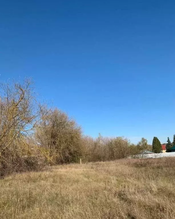 Участок в Московская область, Коломна городской округ, с. Сосновка  ... - Фото 1