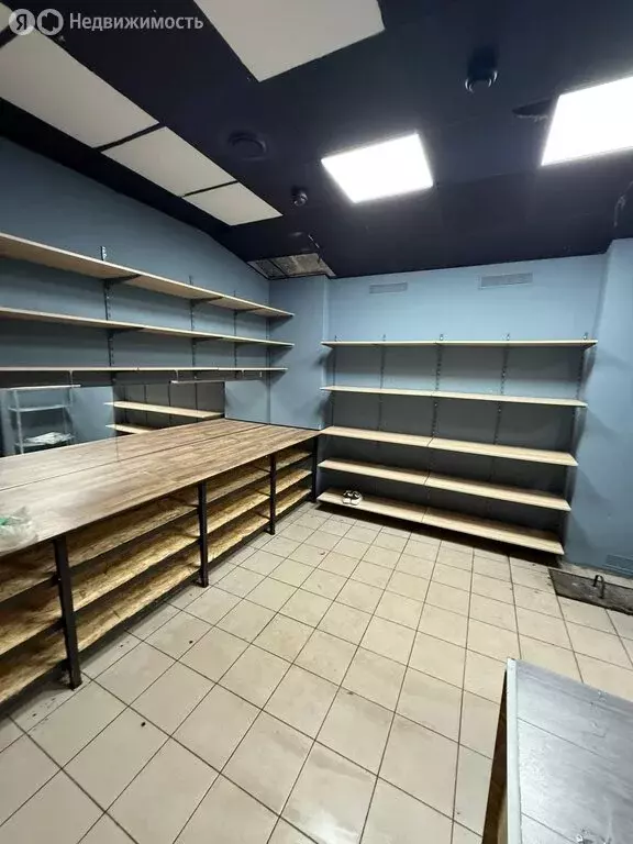 Помещение свободного назначения (83.5 м) - Фото 2