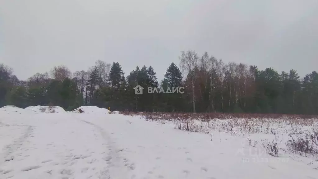 Участок в Владимирская область, Суздальский район, Боголюбовское ... - Фото 0