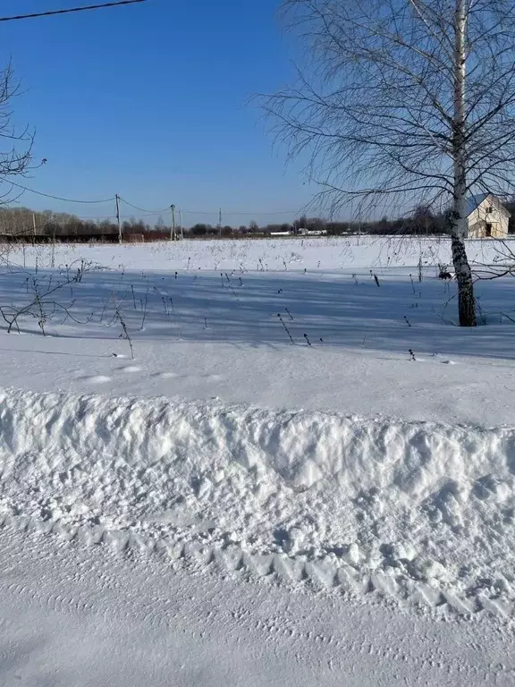 Участок в Московская область, Раменский городской округ, Зеленая Аллея ... - Фото 0