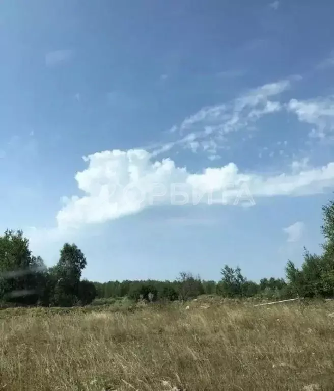 Участок в Тюменская область, Нижнетавдинский район, пос. Кунчур ул. ... - Фото 1
