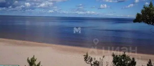 Участок в Ленинградская область, Приозерский район, Ларионовское ... - Фото 1