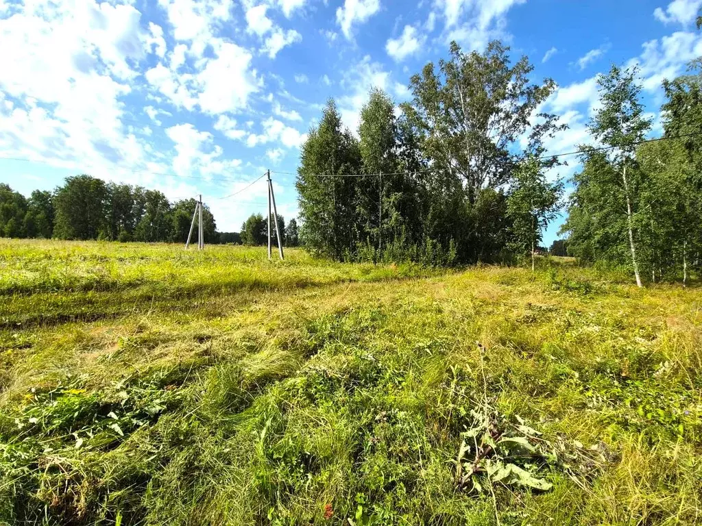 Участок в Омская область, Омский район, Пушкинское с/пос, д. Ракитинка ... - Фото 2