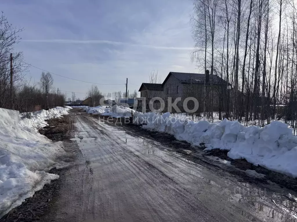 Участок в Пермский край, Березники пер. Красивый, 3 (7.1 сот.) - Фото 2