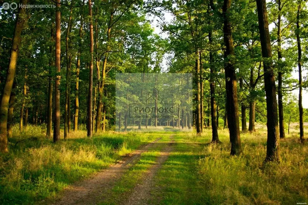 Дом в село Абзаково, улица Ленина, 214Б (62 м) - Фото 1