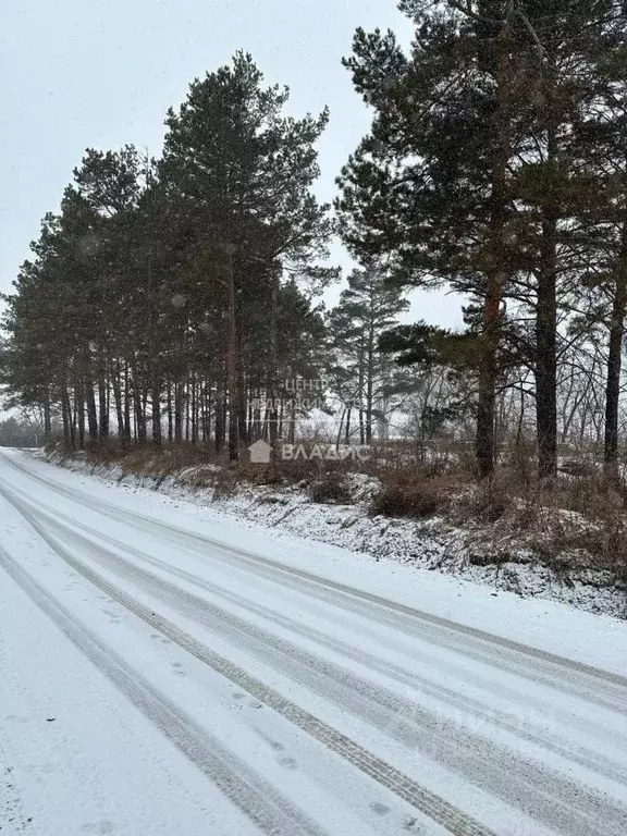 Участок в Приморский край, Арсеньев Приморская ул., 14 (10.0 сот.) - Фото 0