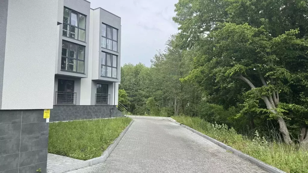 Студия Калининградская область, Зеленоградский муниципальный округ, ... - Фото 1