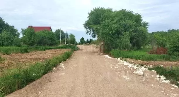 участок в калининградская область, гурьевский муниципальный округ, . - Фото 0