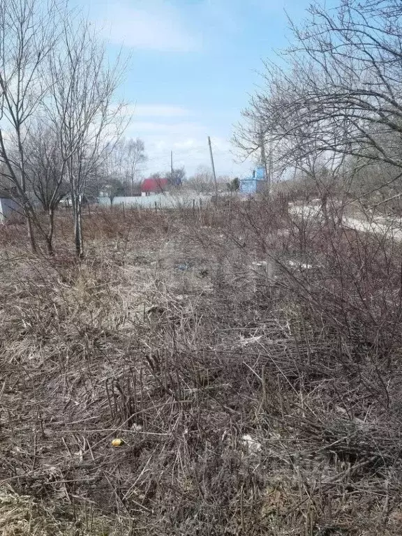 Участок в Сахалинская область, Южно-Сахалинск Маяк СНТ, ул. Речная ... - Фото 1