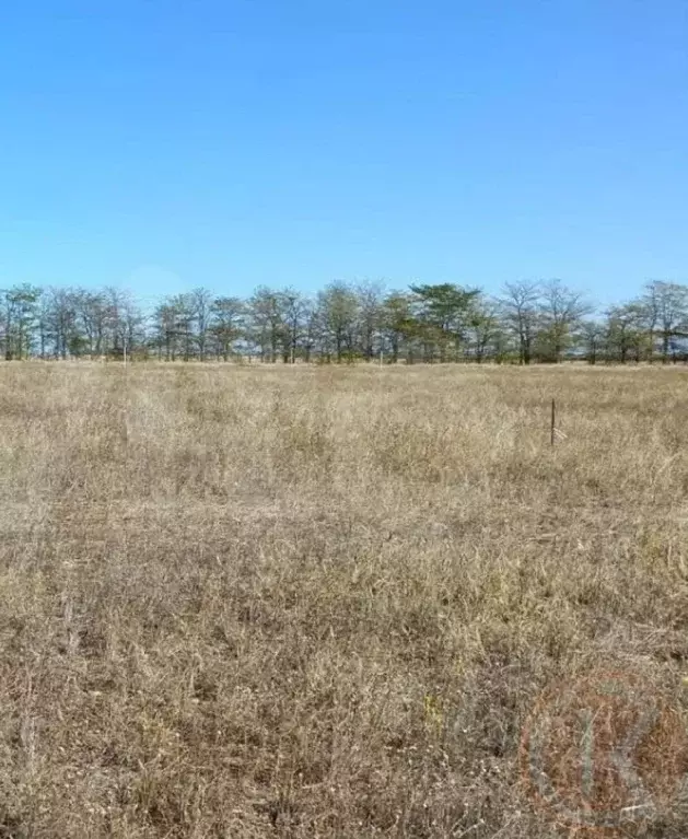 Участок в Крым, Симферопольский район, Николаевка пгт  (6.0 сот.) - Фото 2