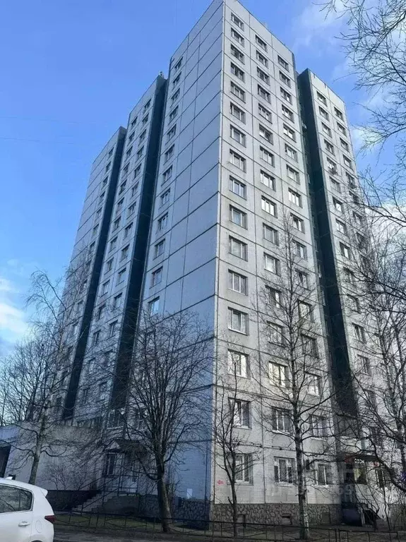 Комната Санкт-Петербург ул. Маршала Новикова, 17 (33.0 м) - Фото 1