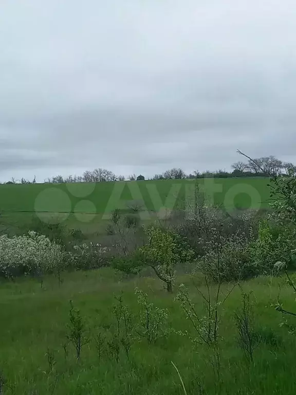 Участок 5 сот. (СНТ, ДНП) - Фото 1