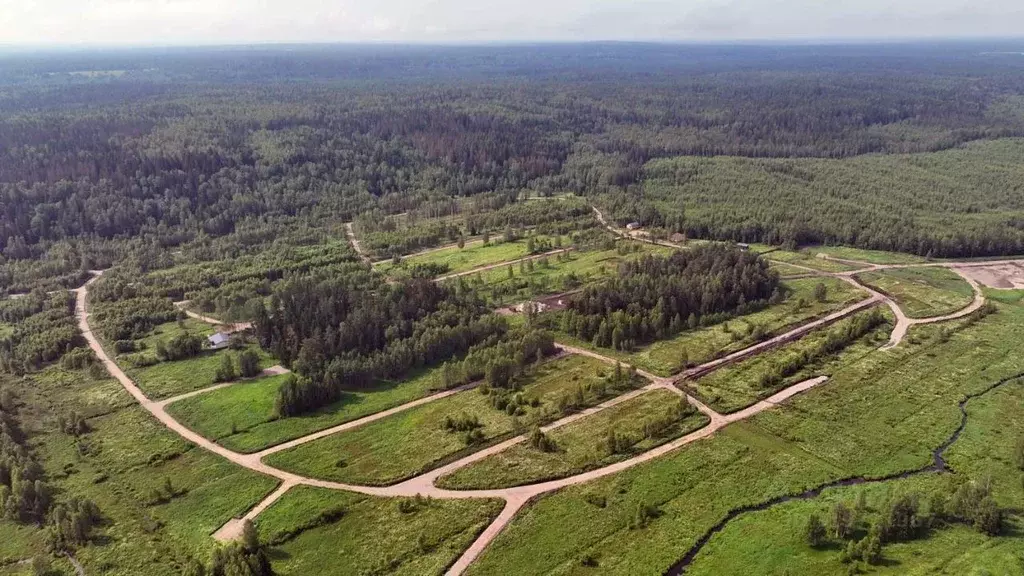 Участок в Ленинградская область, Приозерский район, Раздольевское ... - Фото 1