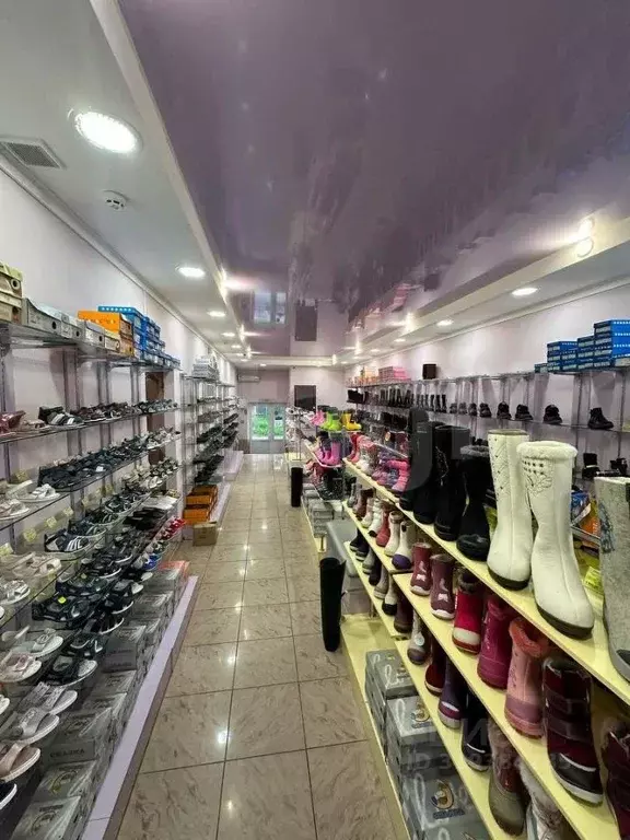 Торговая площадь в Коми, Сыктывкар просп. Бумажников, 42 (282 м) - Фото 2