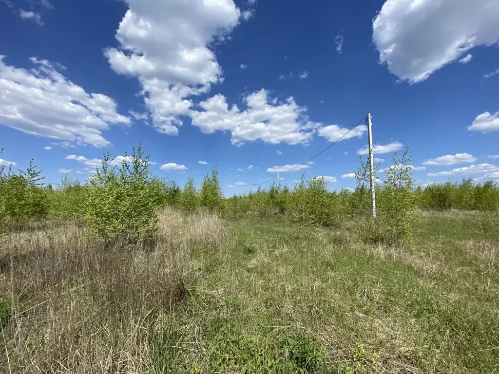 Погода в желтых песках липецк