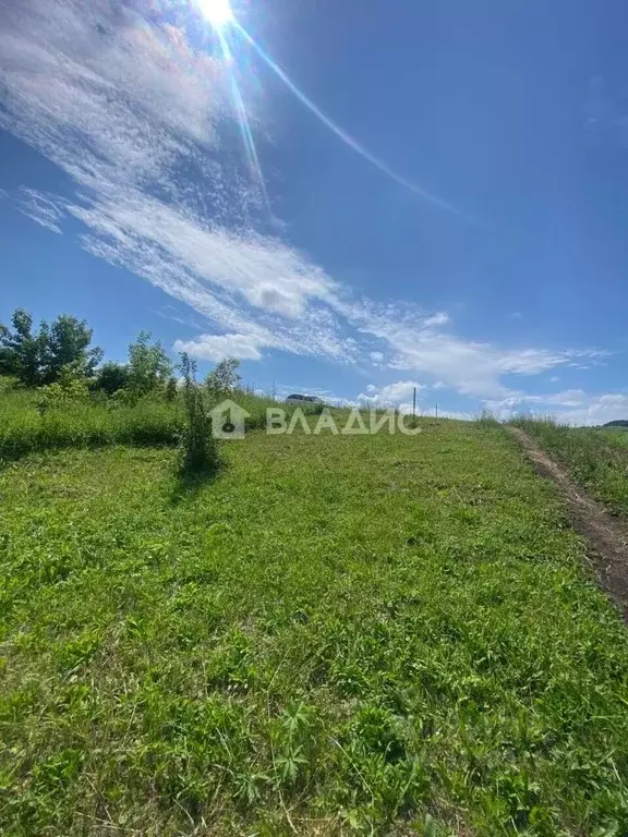 Участок в Алтайский край, Белокуриха Енисейская ул., 19 (13.0 сот.) - Фото 0