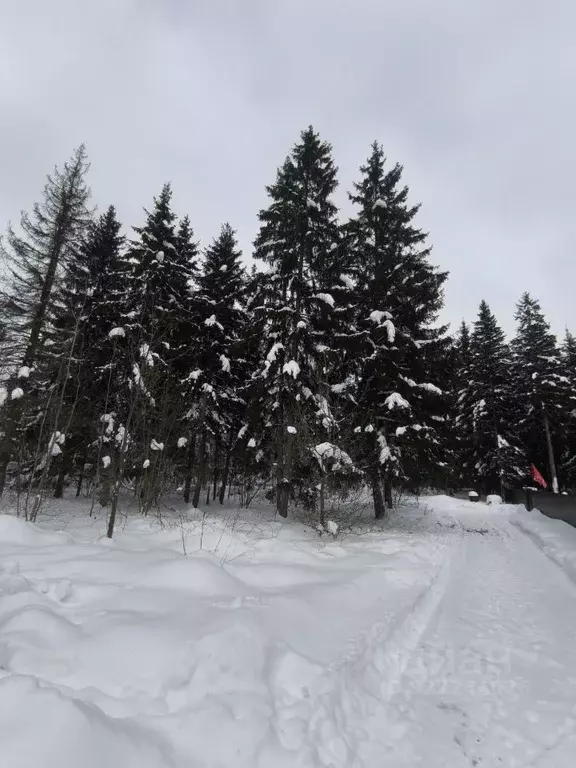 Участок в Москва пос. Красные горки, ул. Заречная, 97 (48.0 сот.) - Фото 2