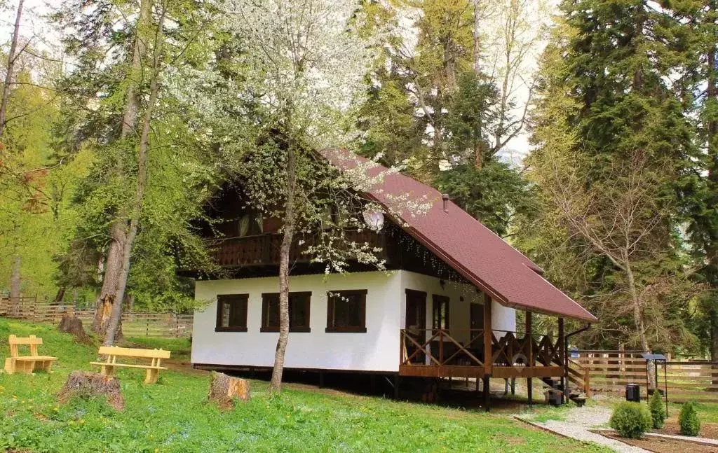 Дом в Карачаево-Черкесия, Зеленчукский район, с. Архыз ул. Банковская, ... - Фото 2