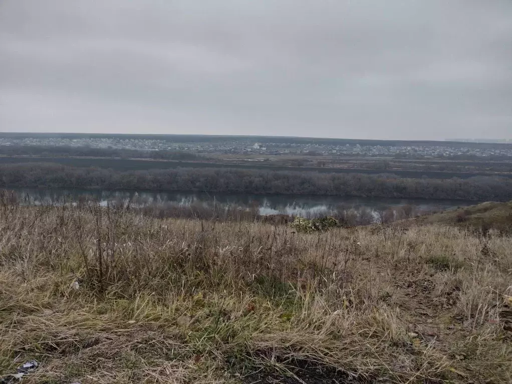 Участок в Воронежская область, Хохольский район, Петинское с/пос, с. ... - Фото 2