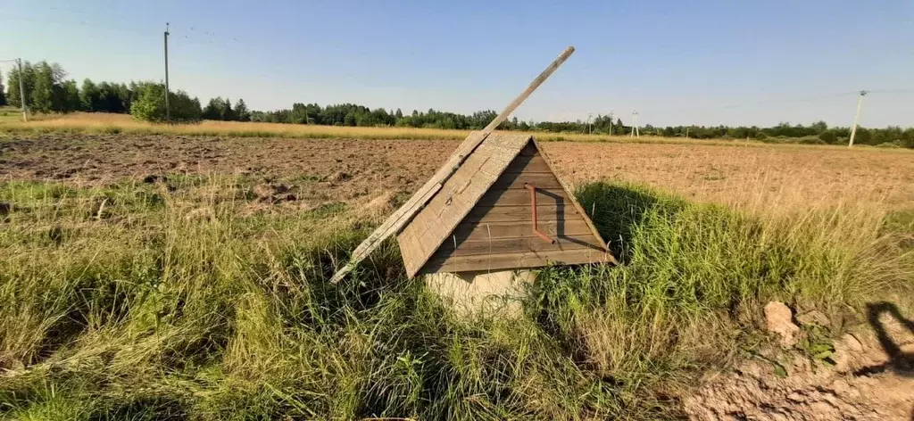 Участок в Новгородская область, Новгородский район, Ракомское с/пос, ... - Фото 1