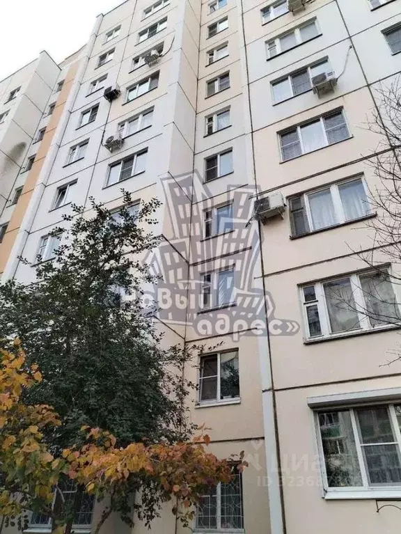 2-к кв. Воронежская область, Воронеж ул. 9 Января, 233/18 (55.0 м) - Фото 1