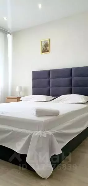 1-к кв. Алтайский край, Барнаул просп. Ленина, 27А/64А (33.0 м) - Фото 0