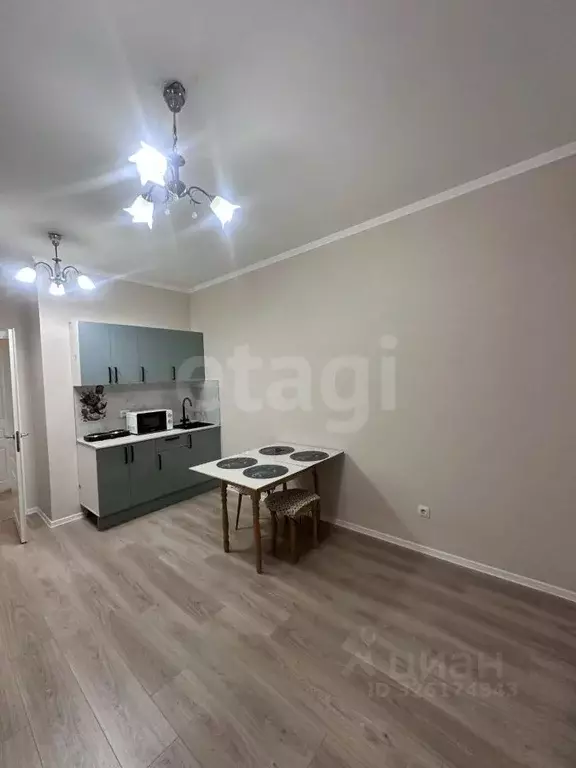 Студия Ленинградская область, Всеволожский район, Заневское городское ... - Фото 1