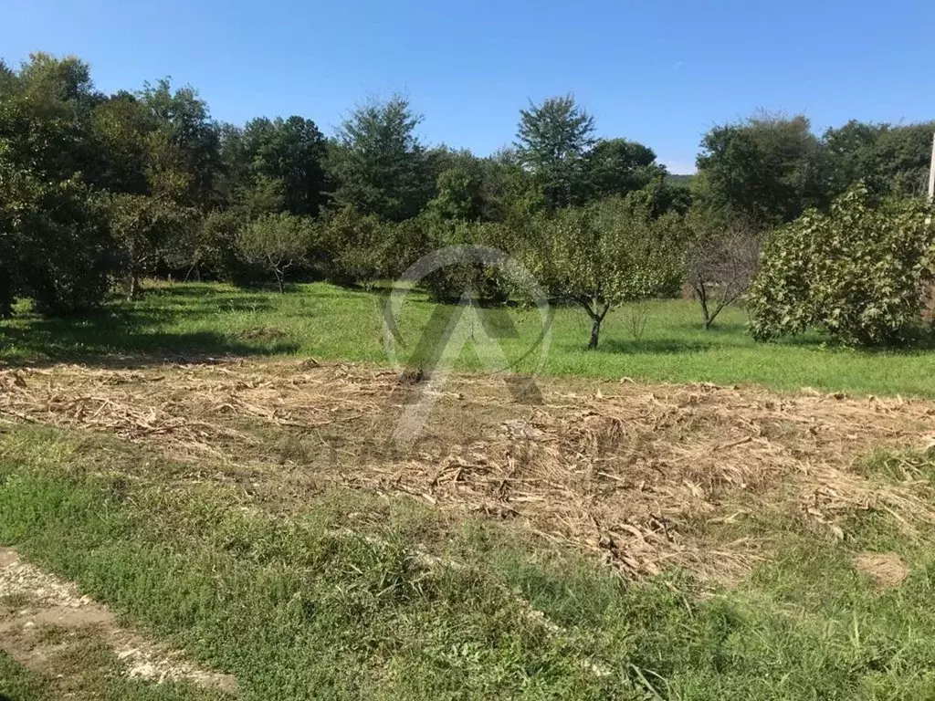 Участок в Краснодарский край, Туапсинский муниципальный округ, с. ... - Фото 1