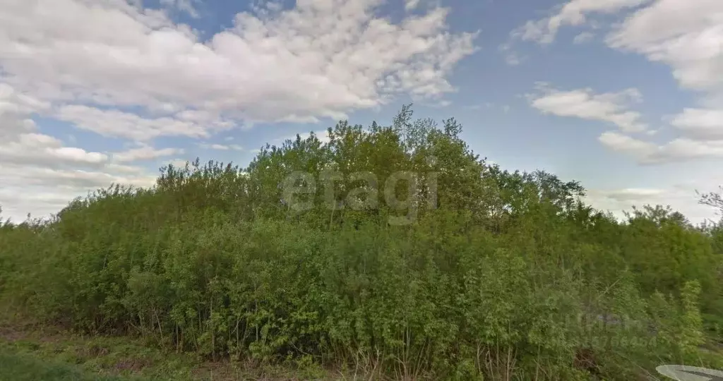 Участок в Костромская область, Ветлужский пгт ул. Первомайская (14.5 ... - Фото 1