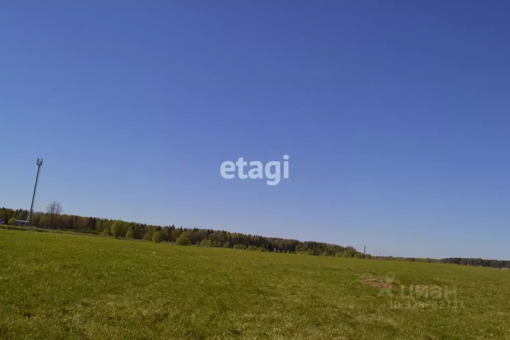 Участок в Ленинградская область, Ломоносовский район, Лопухинское ... - Фото 1