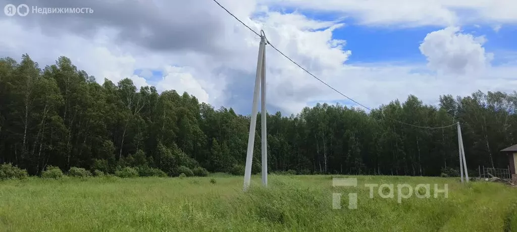 Участок в Сосновский район, Алишевское сельское поселение, село ... - Фото 1