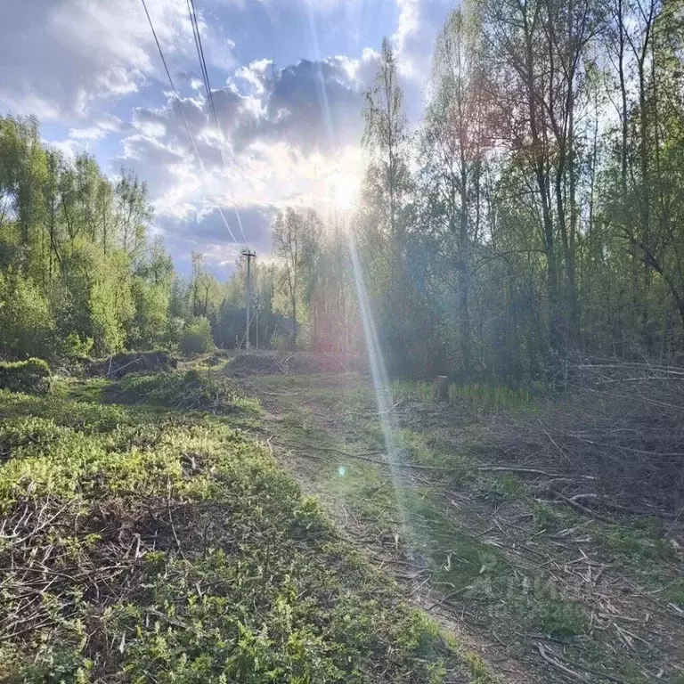 Участок в Алтай, Майминский район, с. Майма ул. Маргелова (10.0 сот.) - Фото 1