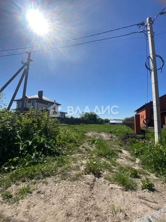 Участок в Пензенская область, Бессоновский район, с. Чемодановка ... - Фото 1
